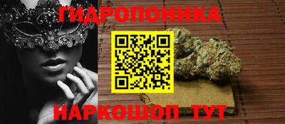 гашик Бузулук