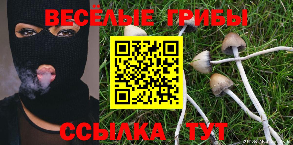 Псилоцибиновые грибы Psilocybine cubensis Костомукша